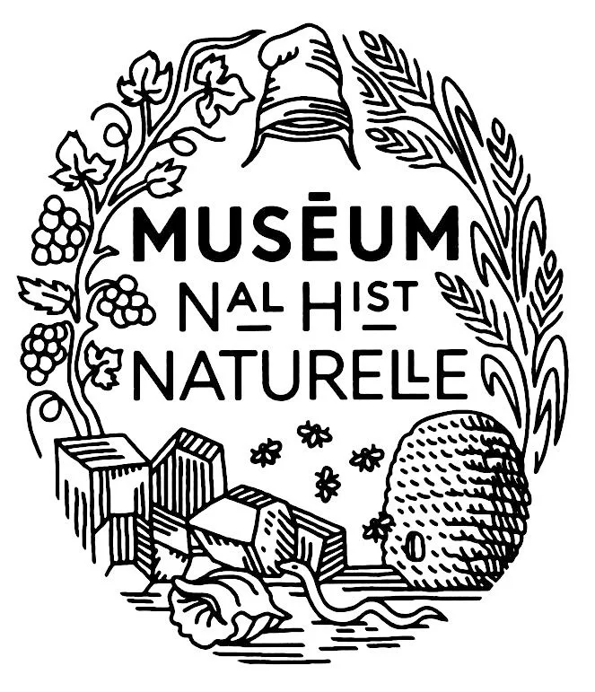 Logo de Bayard 