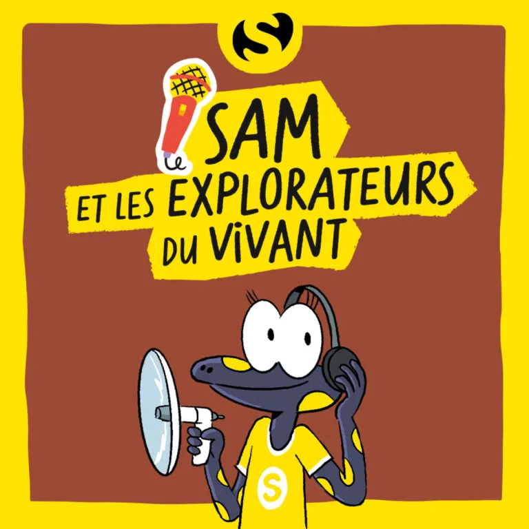 Episode 2 : Qu’est-ce qui vit dans le sol ?