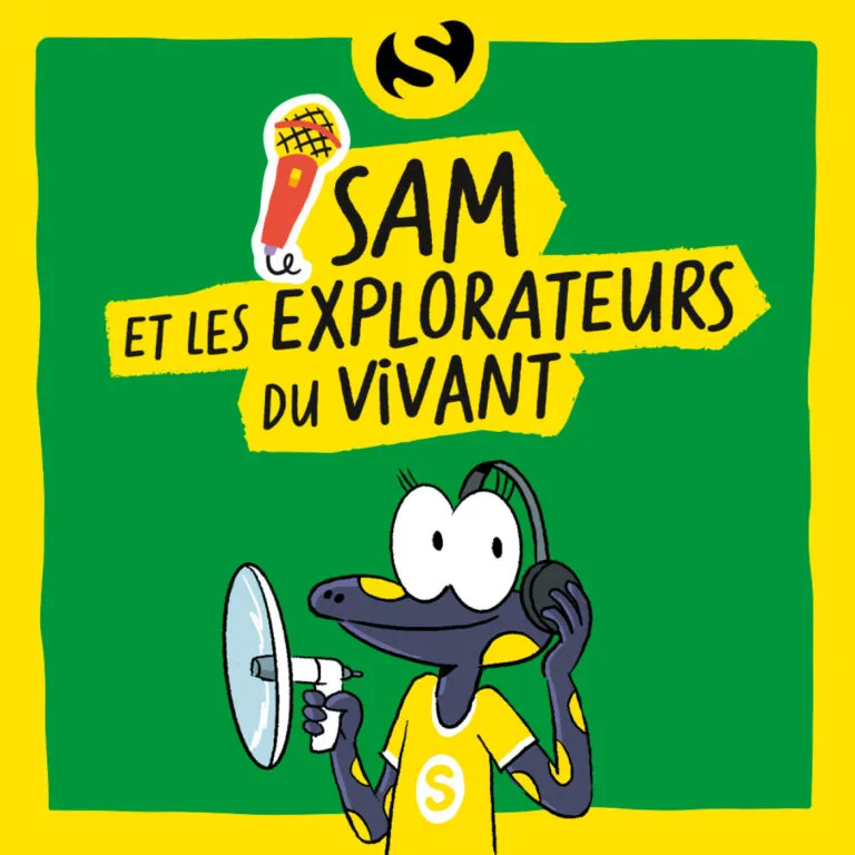 Episode 3 : Pourquoi faut-il laisser vieillir les forêts ?