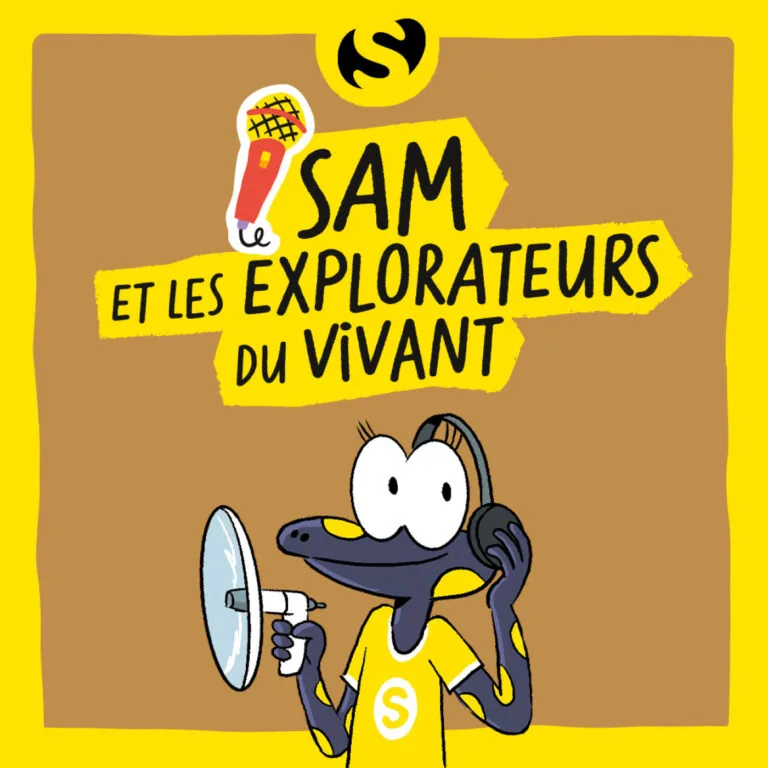 Episode 4 : Pourquoi les marais sont les éponges de la nature ?
