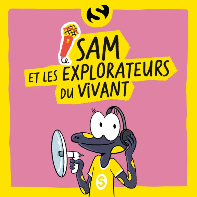 Episode 5 : Y-a-t-il de la vie en ville ?