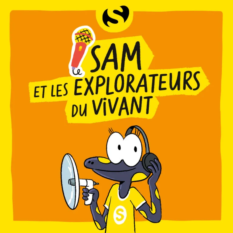 Episode 6 : Qui transporte le pollen des fleurs ?