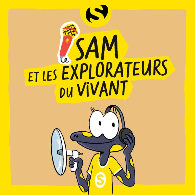 Episode 9 : Que font ces algues sur nos plages ?