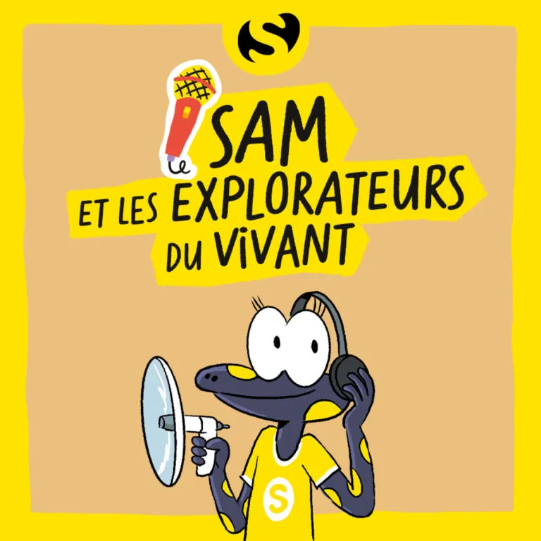 Episode 9 : Que font ces algues sur nos plages ?