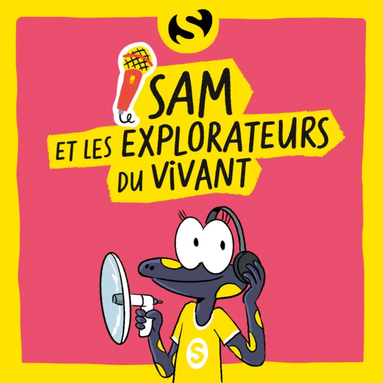 Episode 8 : Pourquoi les haies sont-elles importantes ?