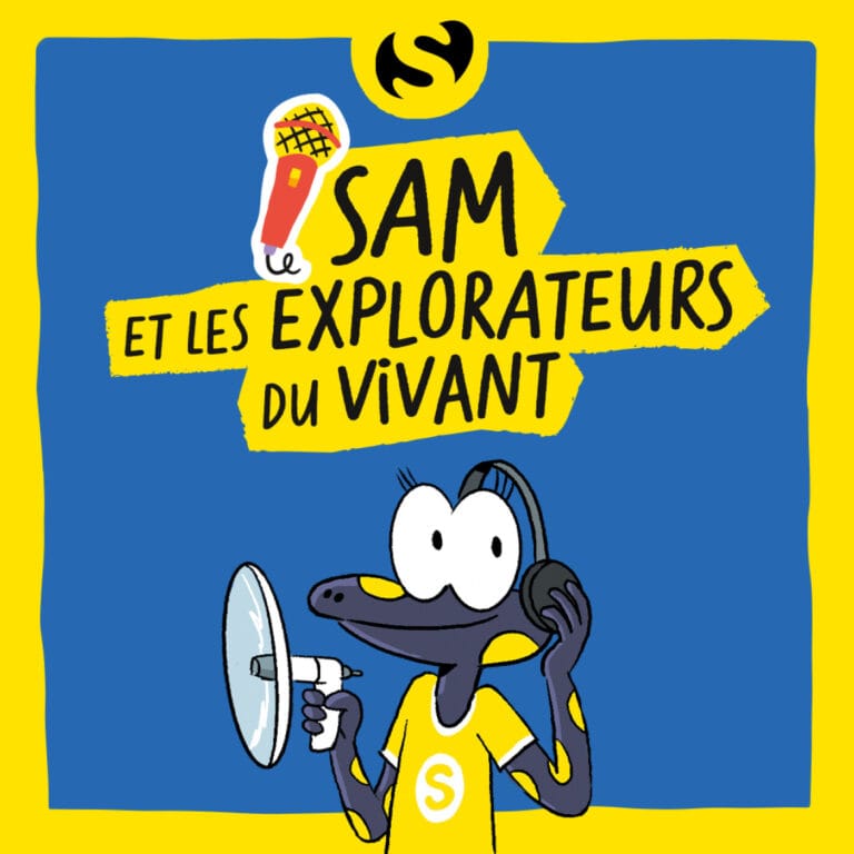 Episode 10 : Y a-t-il de grands mammifères marins près de nos côtes ?