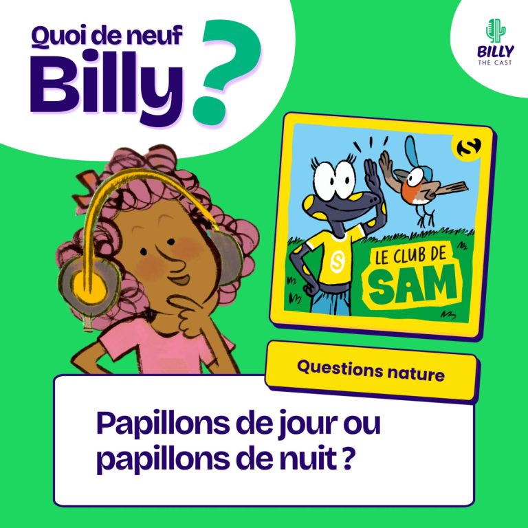 Questions Nature : papillon de jour ou papillon de nuit ?